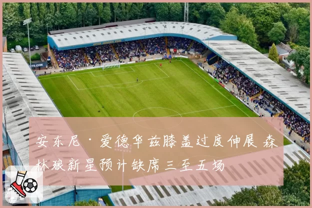 安东尼·爱德华兹膝盖过度伸展 森林狼新星预计缺席三至五场