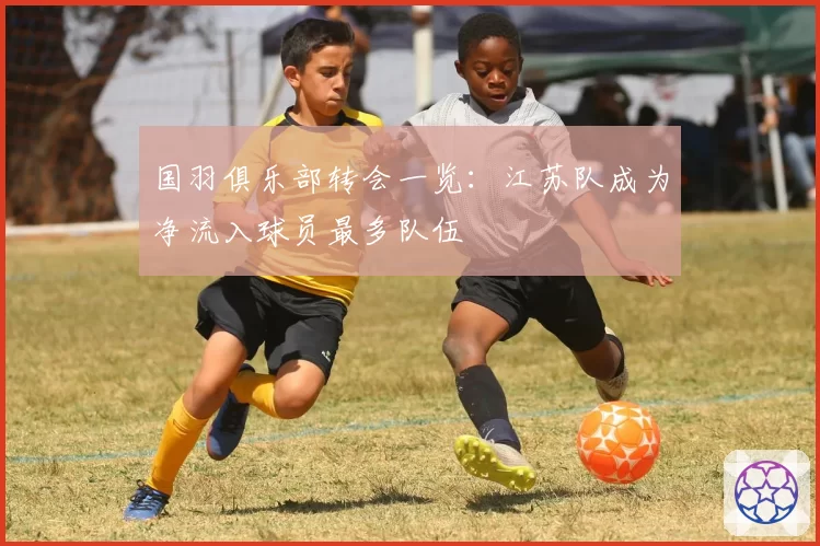 国羽俱乐部转会一览：江苏队成为净流入球员最多队伍